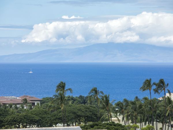 Wailea Condo 978165