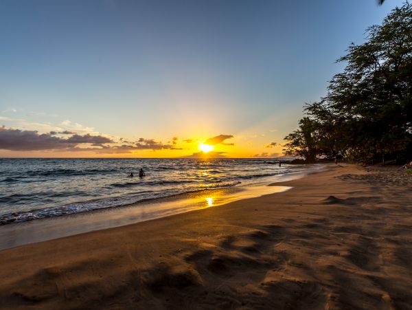Wailea Condo 978165