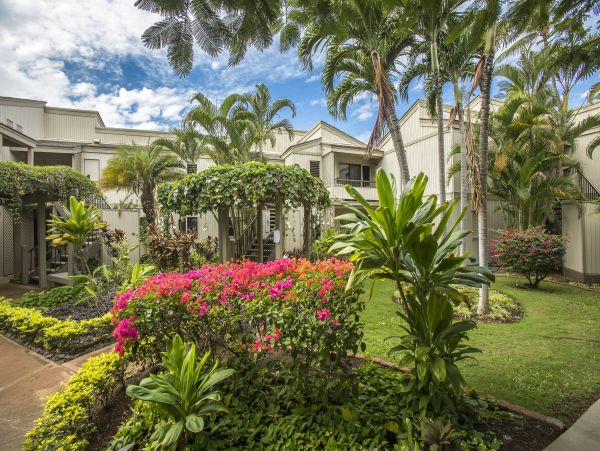 Wailea Condo 978165