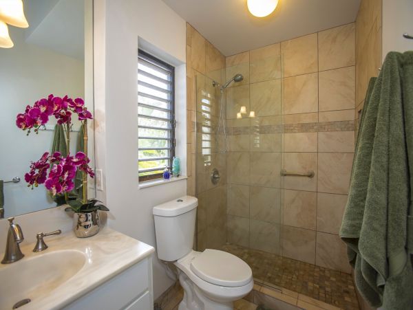 Wailea Condo 978165