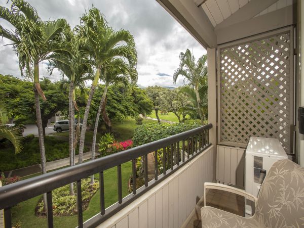 Wailea Condo 978165