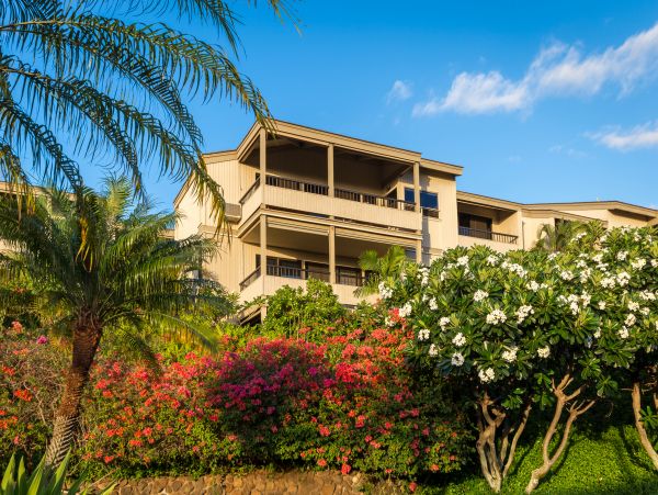 Wailea Condo 978165