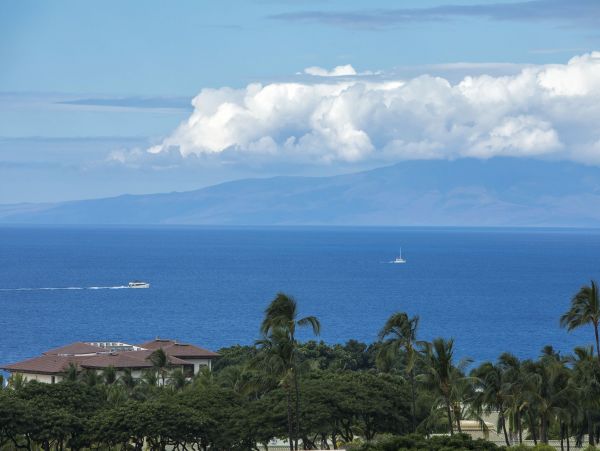 Wailea Condo 978165