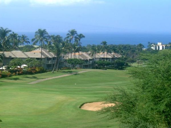 Wailea Condo 978166
