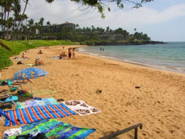 Wailea Condo 978166