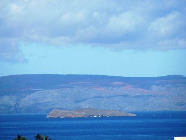 Wailea Condo 978166