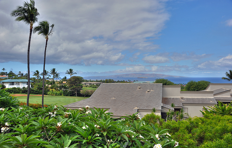 Wailea Condo 978166
