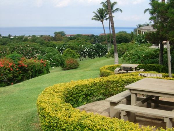Wailea Condo 978166