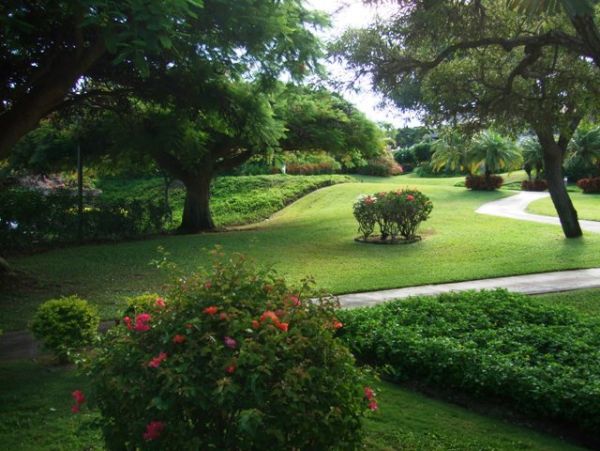 Wailea Condo 978166