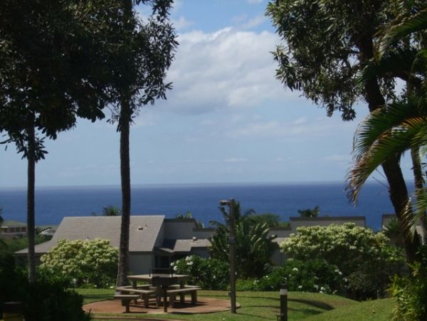 Wailea Condo 978166