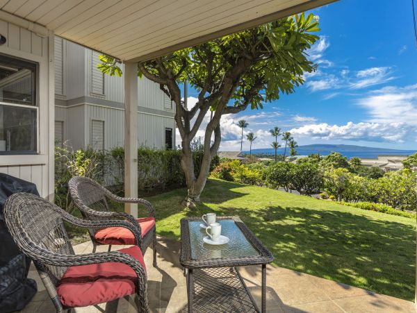Wailea Condo 978167