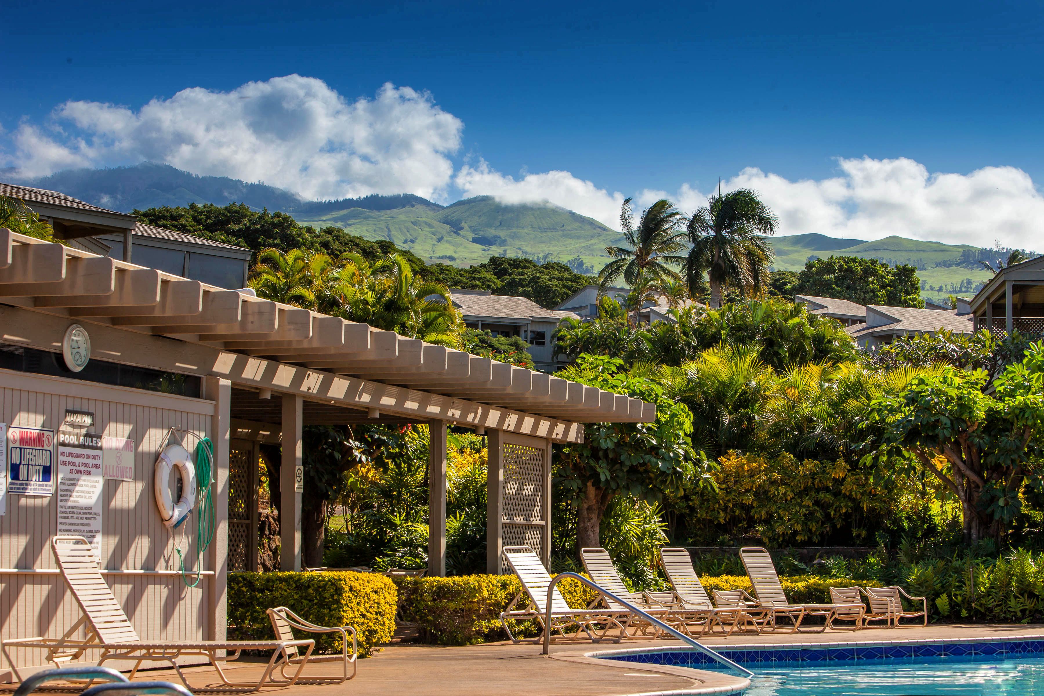 Wailea Condo 978167