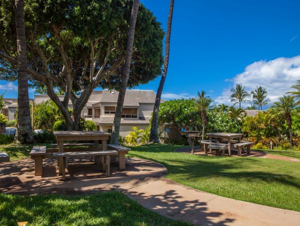 Wailea Condo 978167