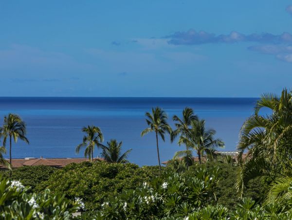 Wailea Condo 978167