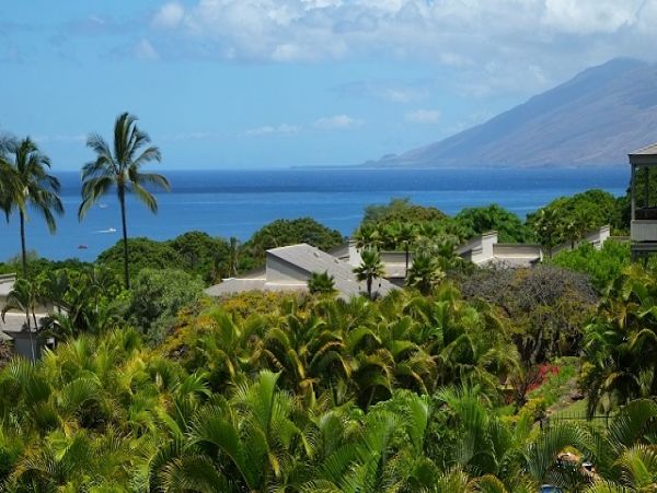 Wailea Condo 978168