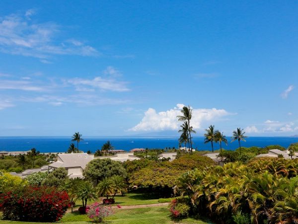 Wailea Condo 978168