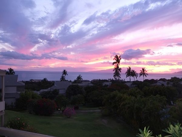 Wailea Condo 978168