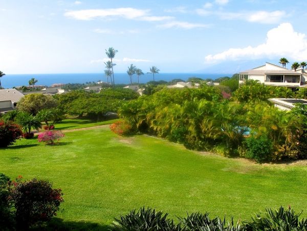 Wailea Condo 978168