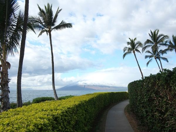Wailea Condo 978168