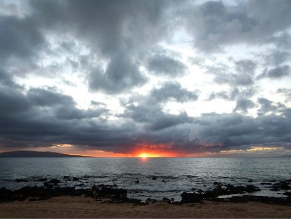 Wailea Condo 978168