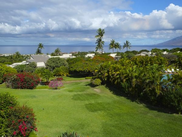 Wailea Condo 978168