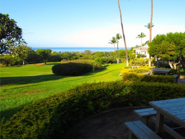Wailea Condo 978168