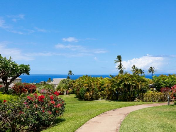 Wailea Condo 978168