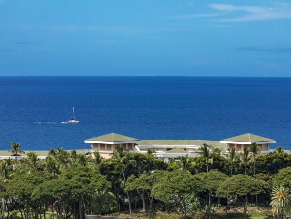 Wailea Condo 978169