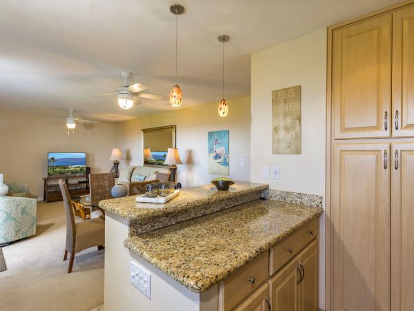 Wailea Condo 978169