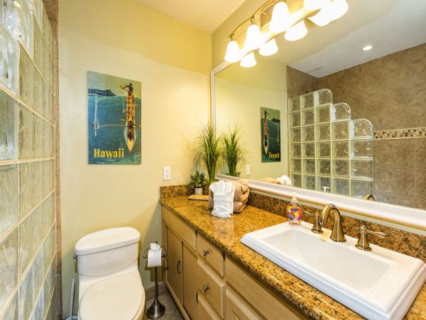 Wailea Condo 978169