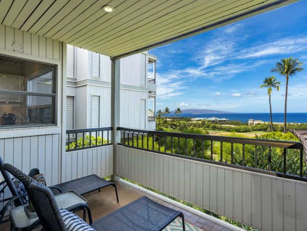 Wailea Condo 978169