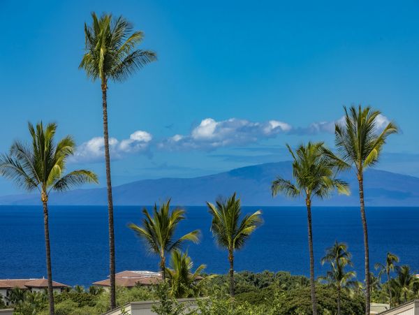 Wailea Condo 978169