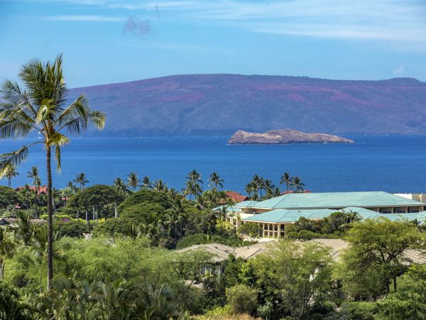 Wailea Condo 978169