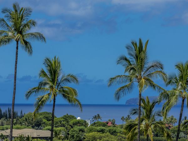 Wailea Condo 978169