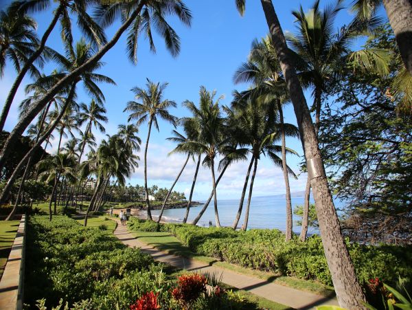 Wailea Condo 978171