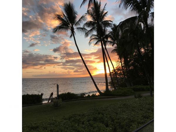 Wailea Condo 978171