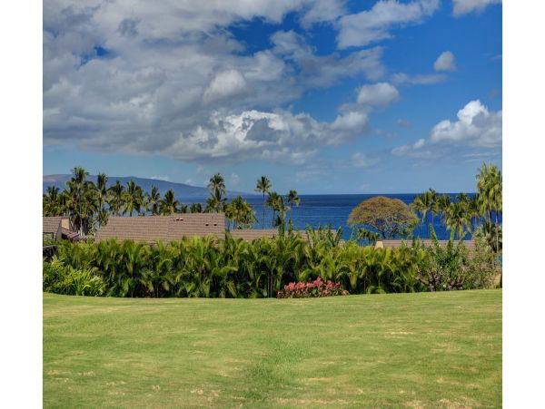Wailea Condo 978171