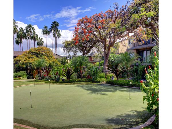 Wailea Condo 978171