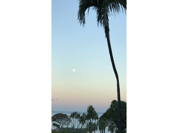 Wailea Condo 978171