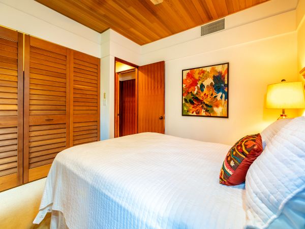 Wailea Condo 978172
