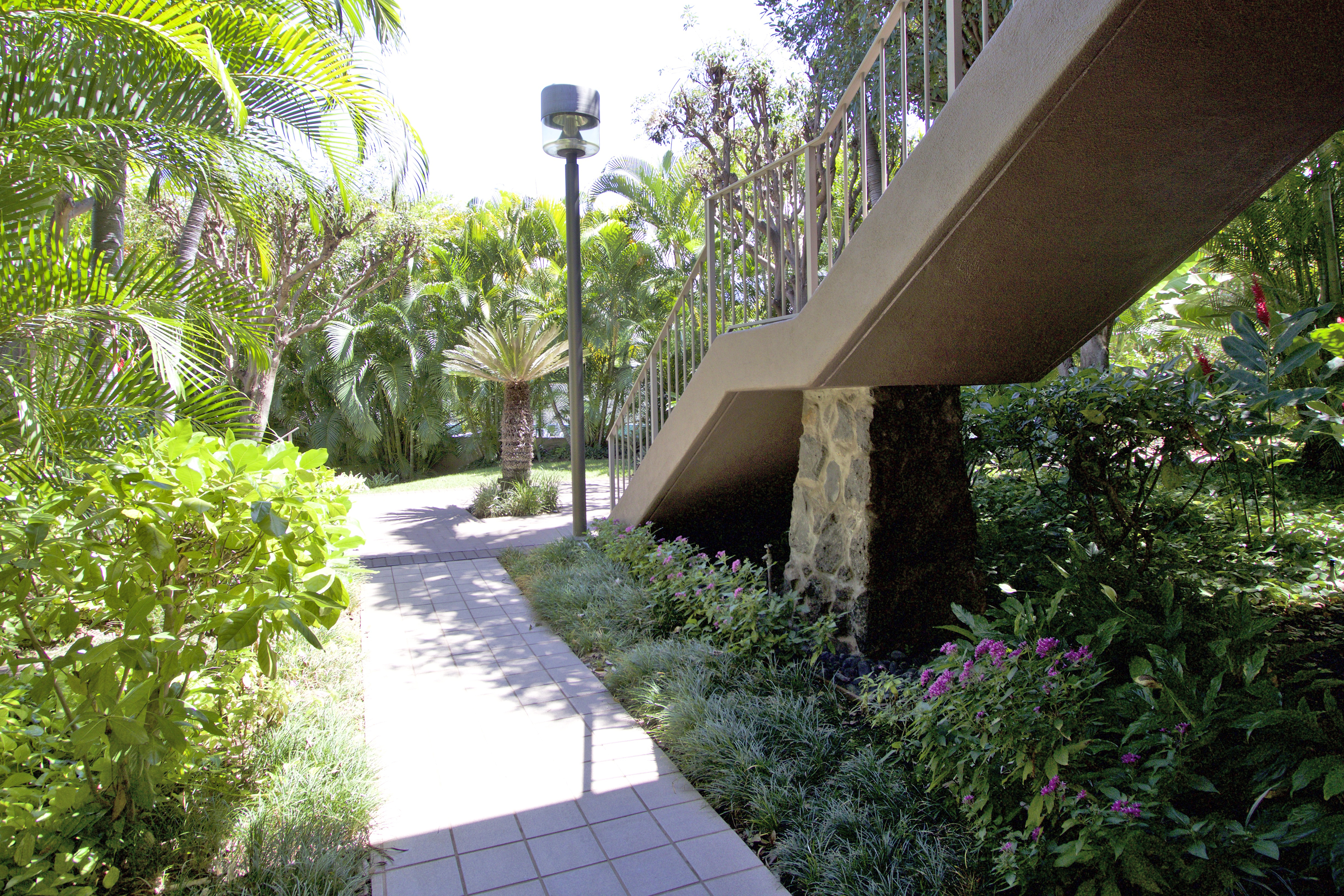 Wailea Condo 978172