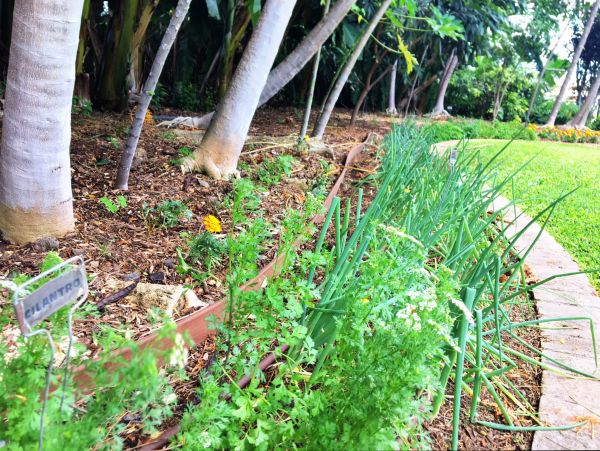 Wailea Condo 978172