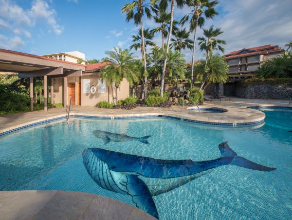 Wailea Condo 978172