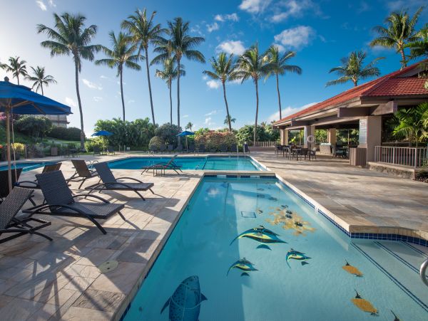 Wailea Condo 978172