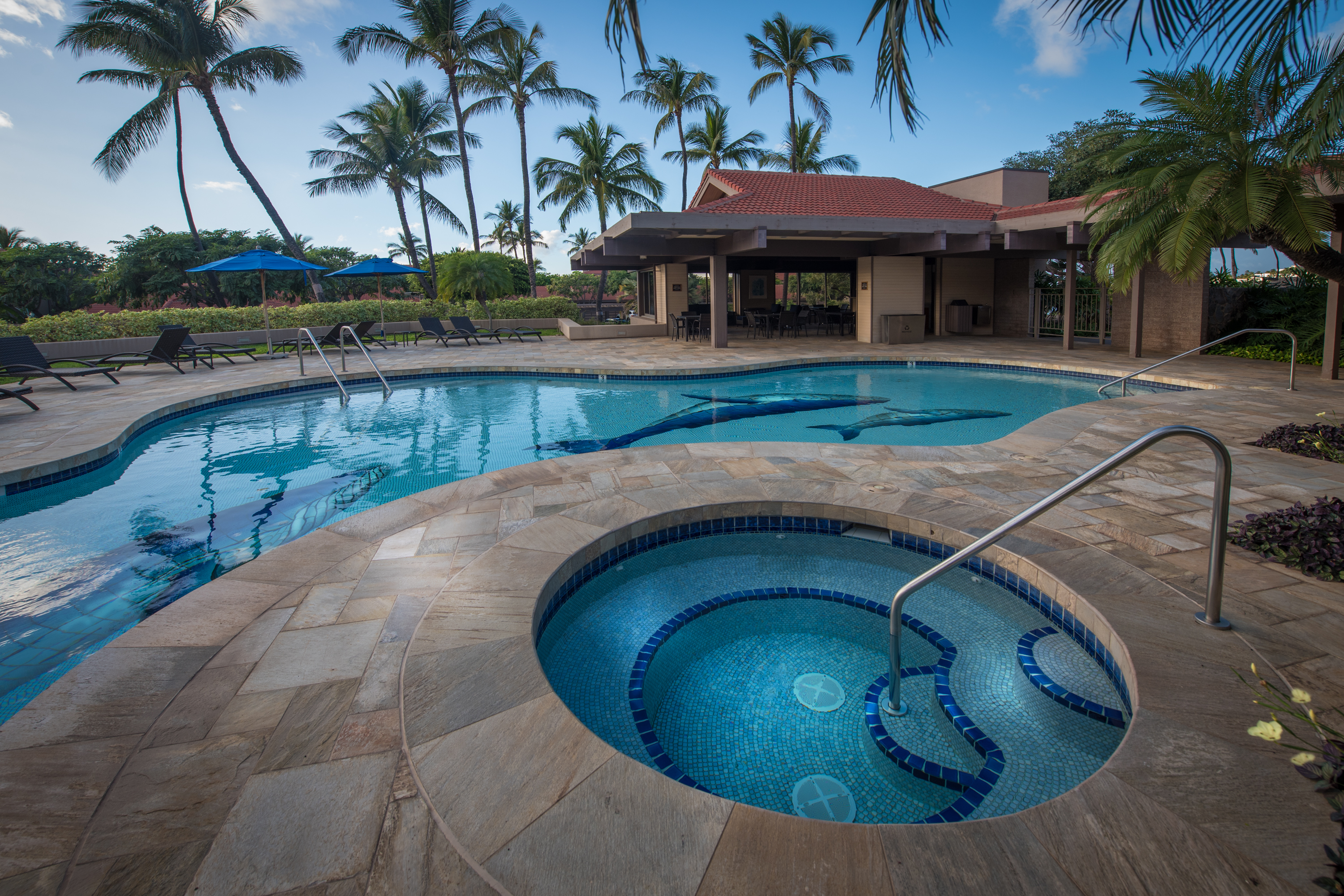 Wailea Condo 978172