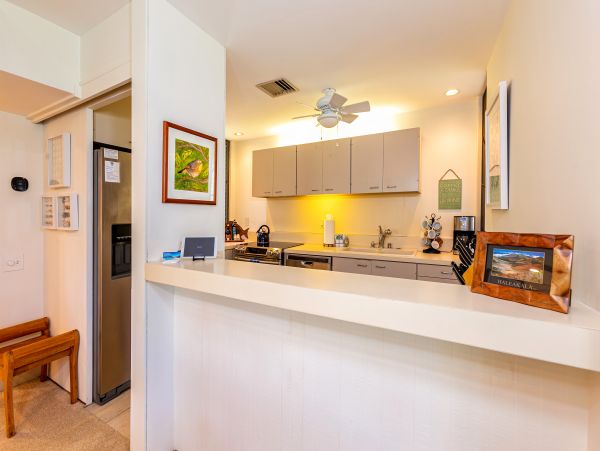 Wailea Condo 978174