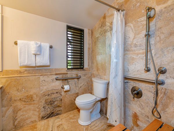 Wailea Condo 978174