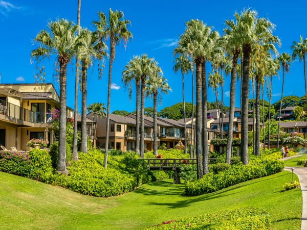 Wailea Condo 978174
