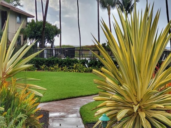 Kihei Condo 978175