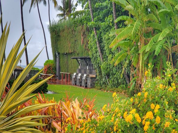 Kihei Condo 978175